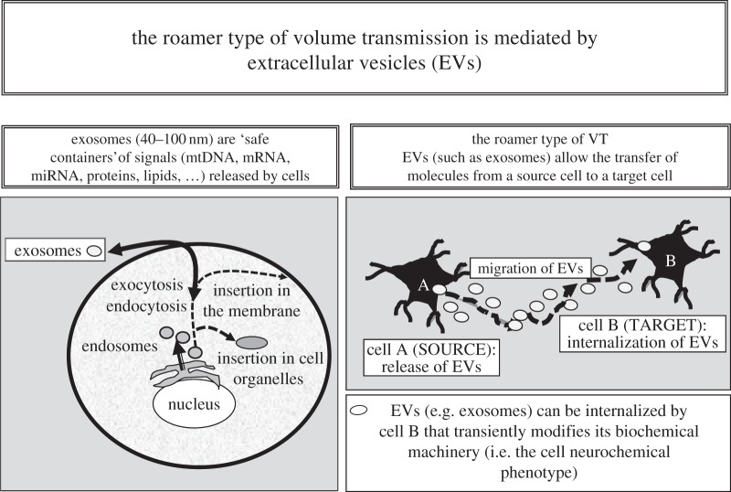 Figure 2.