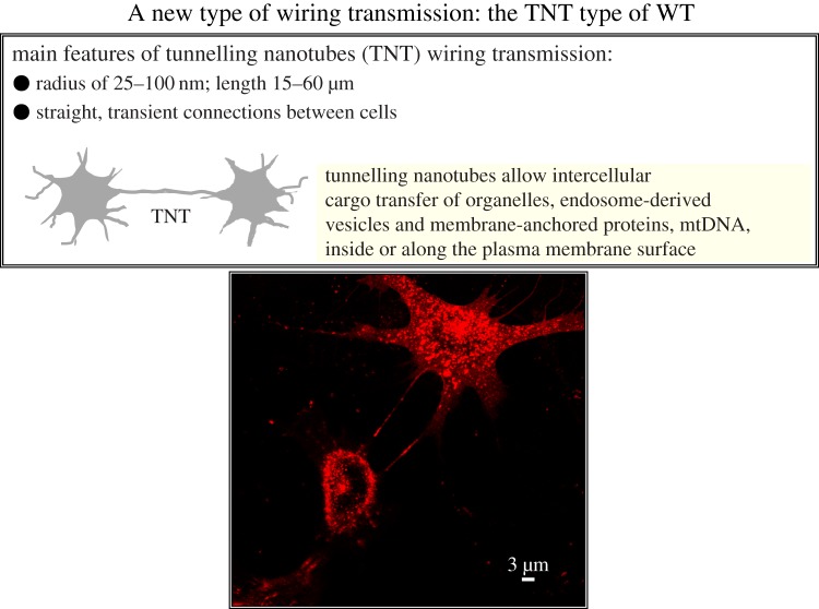 Figure 4.