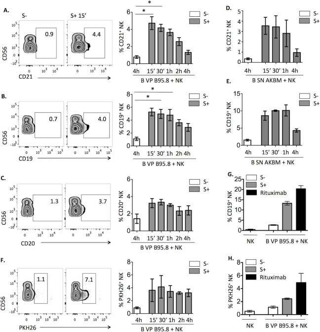 Fig 6