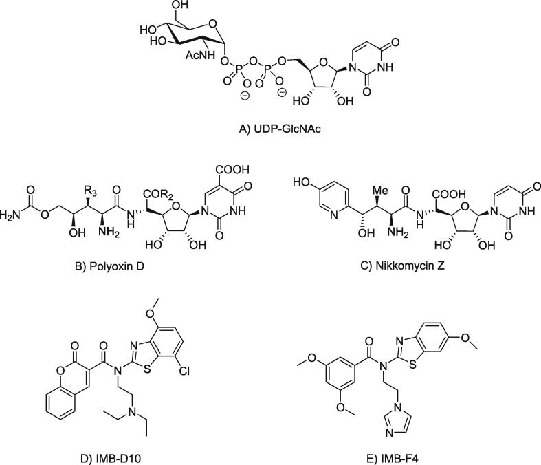 Fig. 8