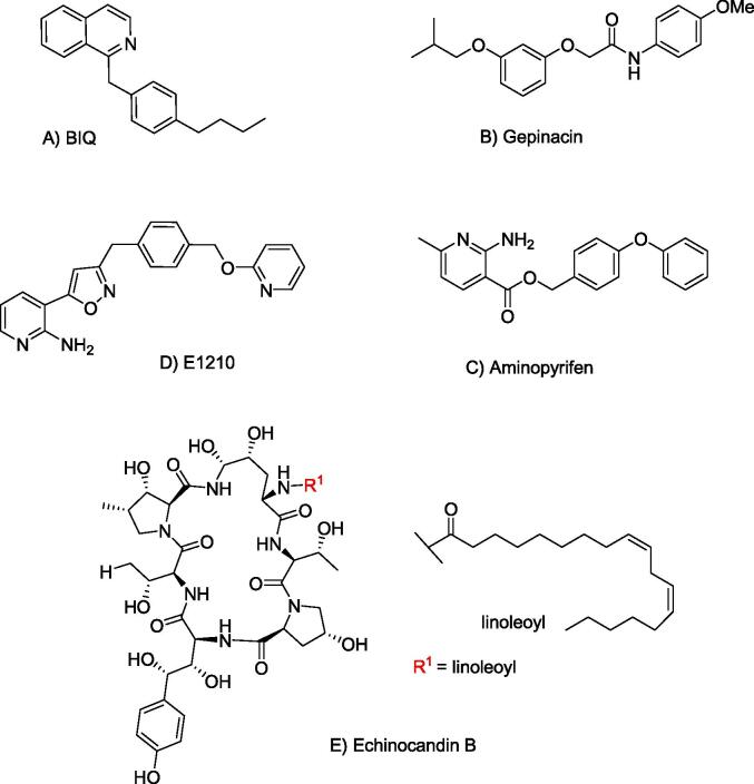 Fig. 5