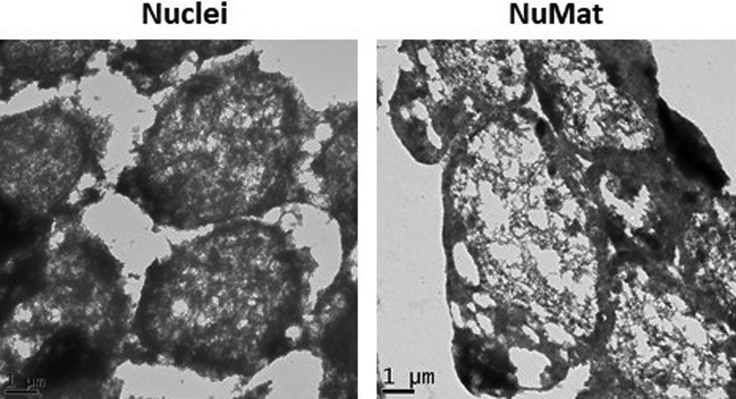 Figure 4