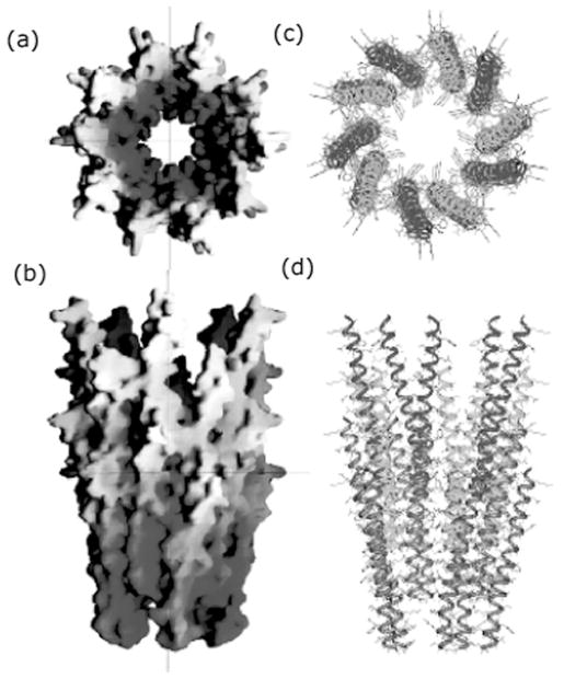 Fig. 29