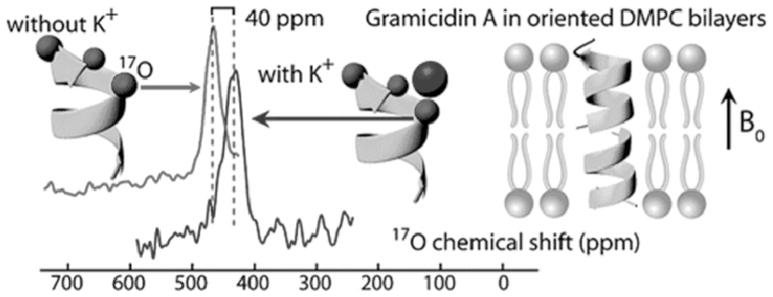 Fig. 19