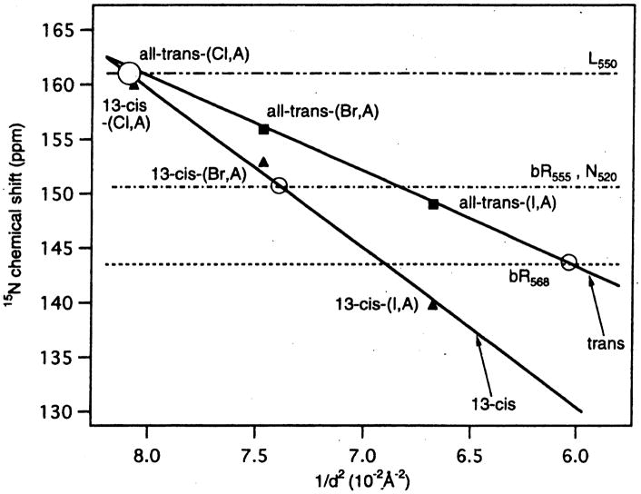 Fig. 10