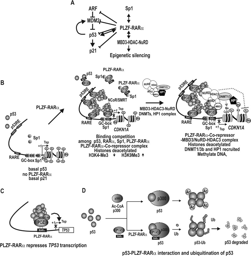 FIGURE 11.