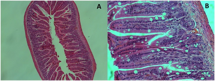 Fig 3