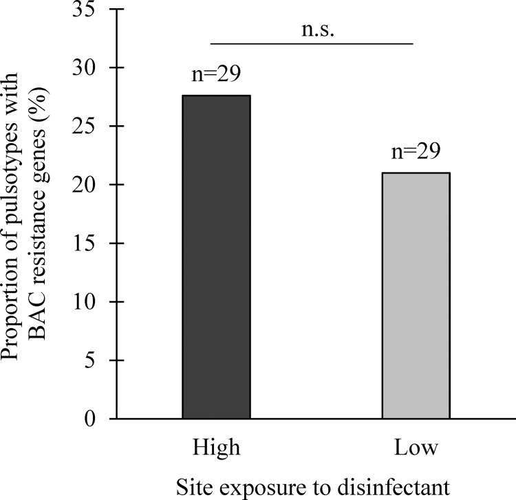 Fig 7