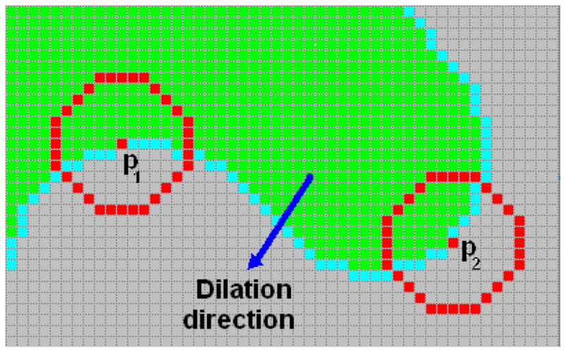 Fig. 7