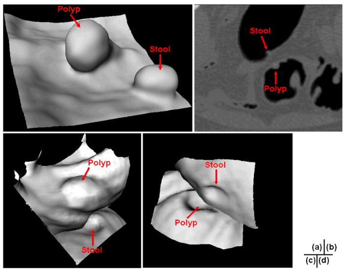 Fig. 3