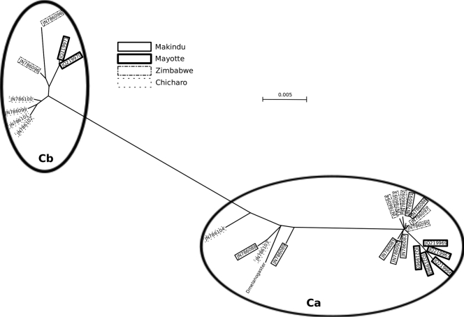 Fig 3