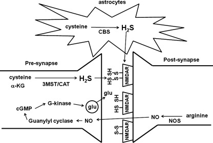 FIG. 7.