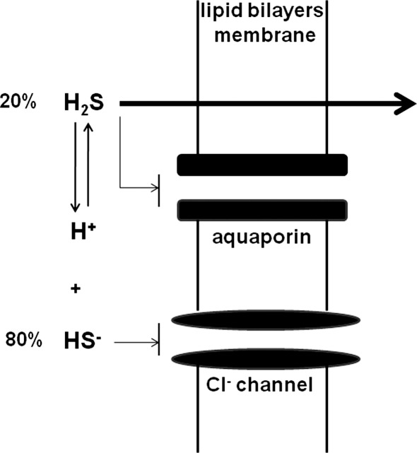 FIG. 1.