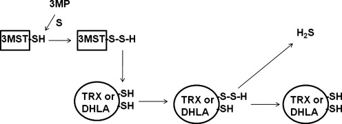 FIG. 5.