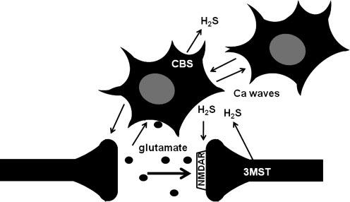 FIG. 3.