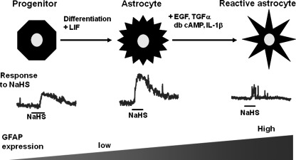 FIG. 8.