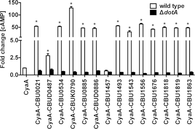 FIG 1