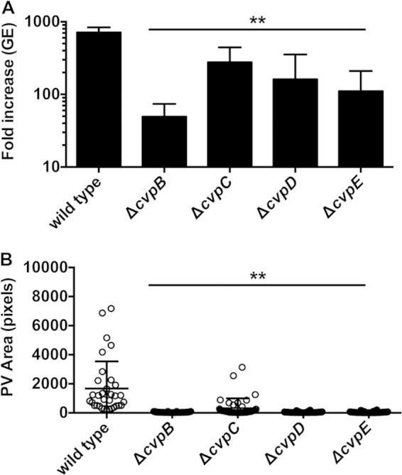 FIG 3