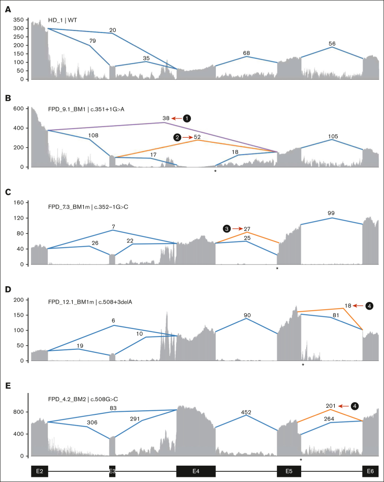 Figure 2.