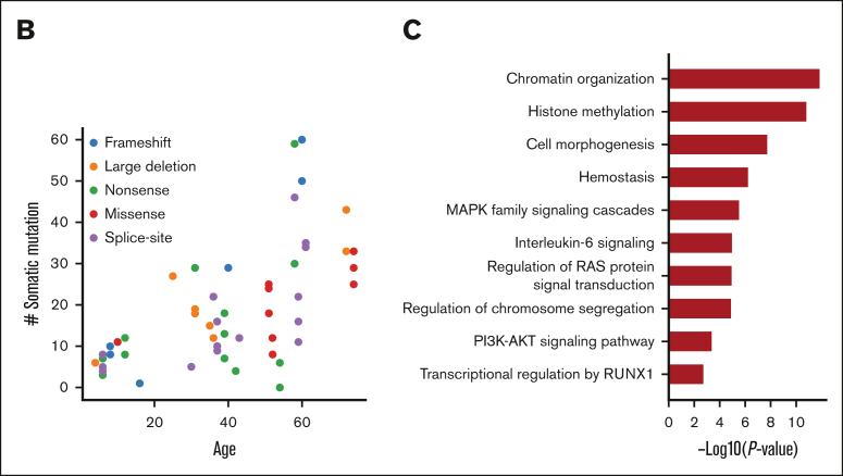 Figure 3.