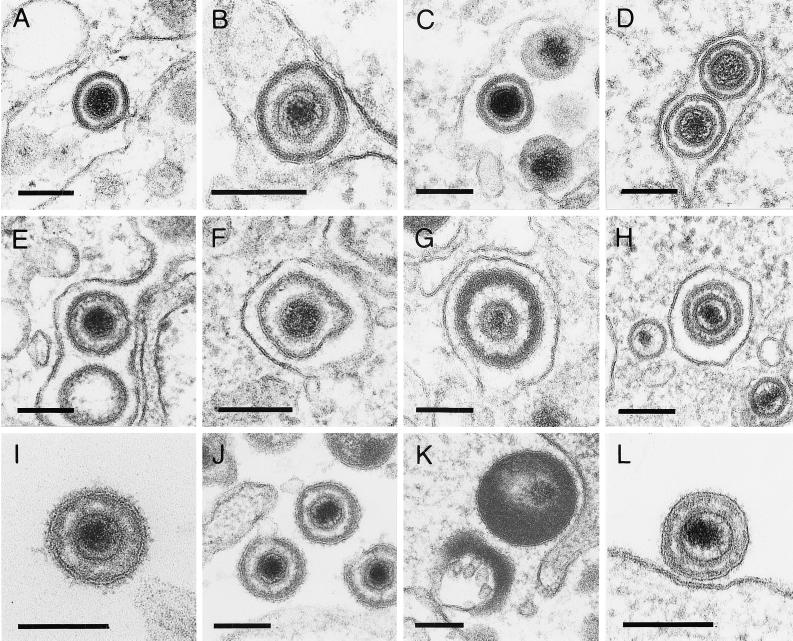 FIG. 5