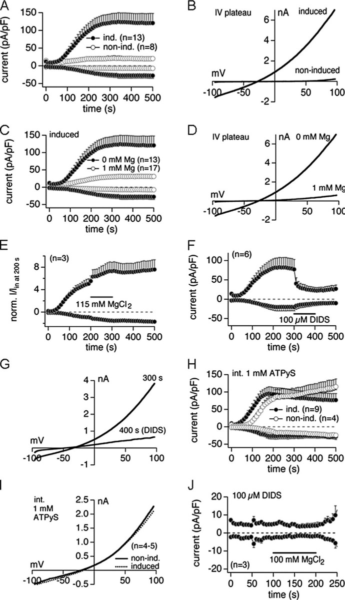 FIGURE 5.