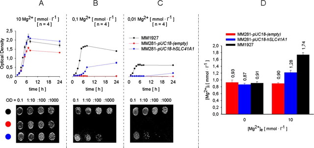 FIGURE 4.