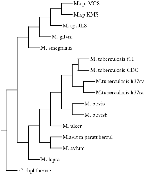 Figure 11