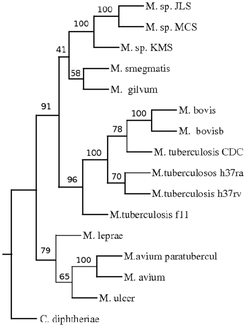 Figure 9