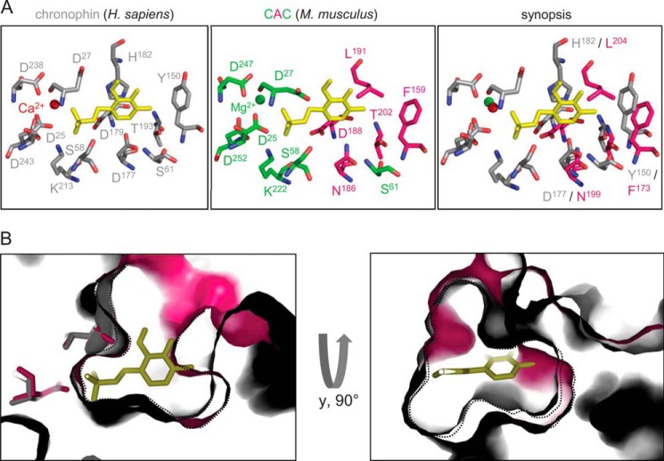 FIGURE 6.