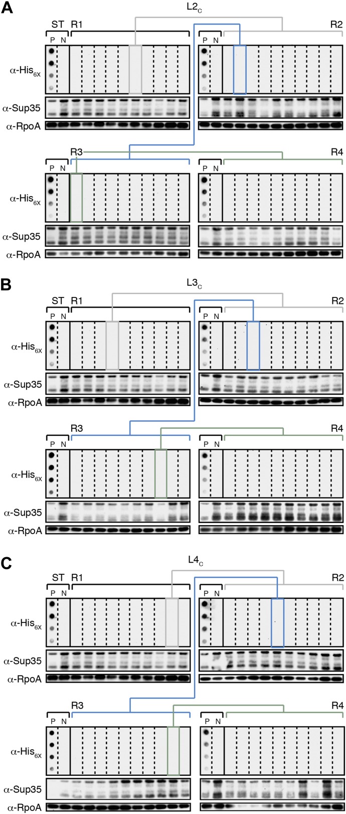 Figure 4—figure supplement 2.