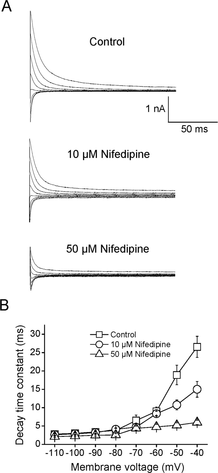 Fig 5