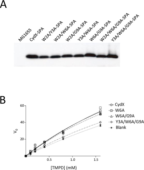 Fig 5