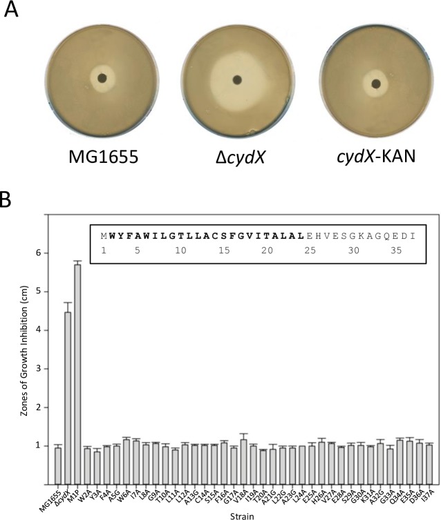 Fig 2