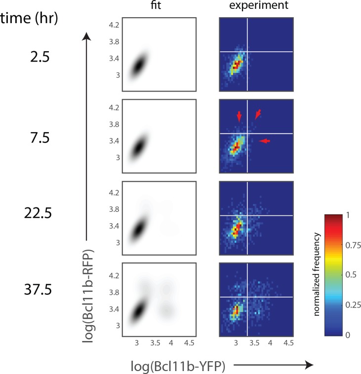 Figure 4—figure supplement 1.