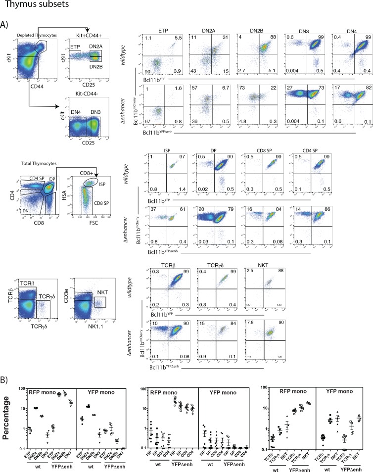 Figure 3—figure supplement 1.