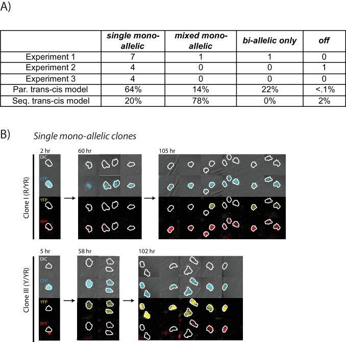 Figure 4—figure supplement 2.