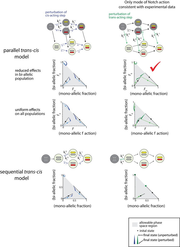 Figure 5—figure supplement 1.