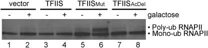 Figure 6