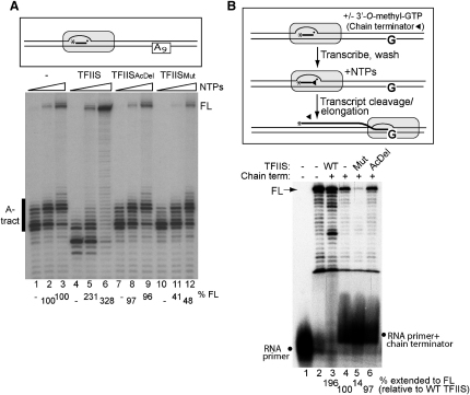 Figure 2