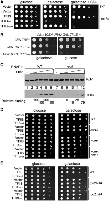 Figure 4