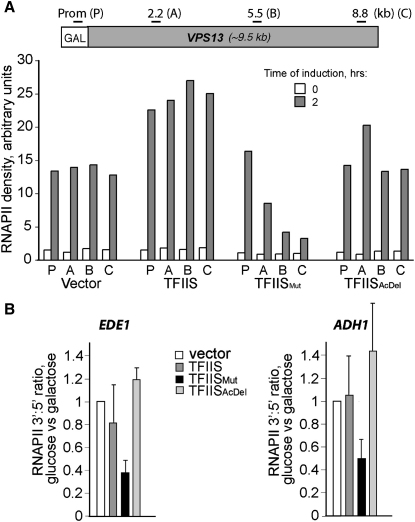 Figure 5