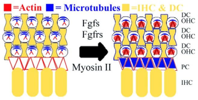 Fig. 10.