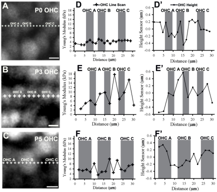 Fig. 4.