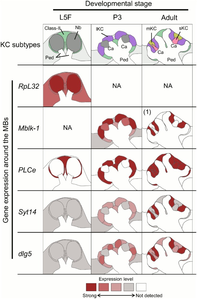 Fig 14