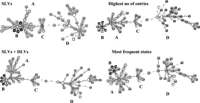 FIG. 3.