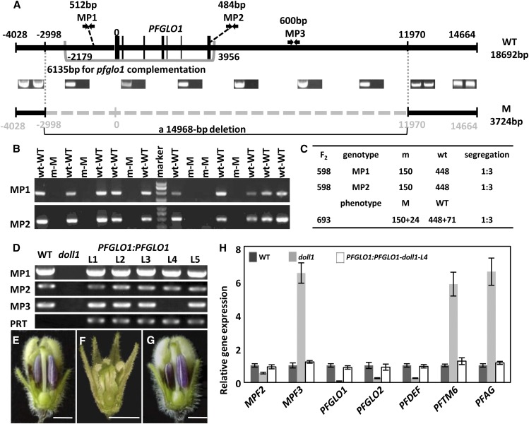 Figure 4.