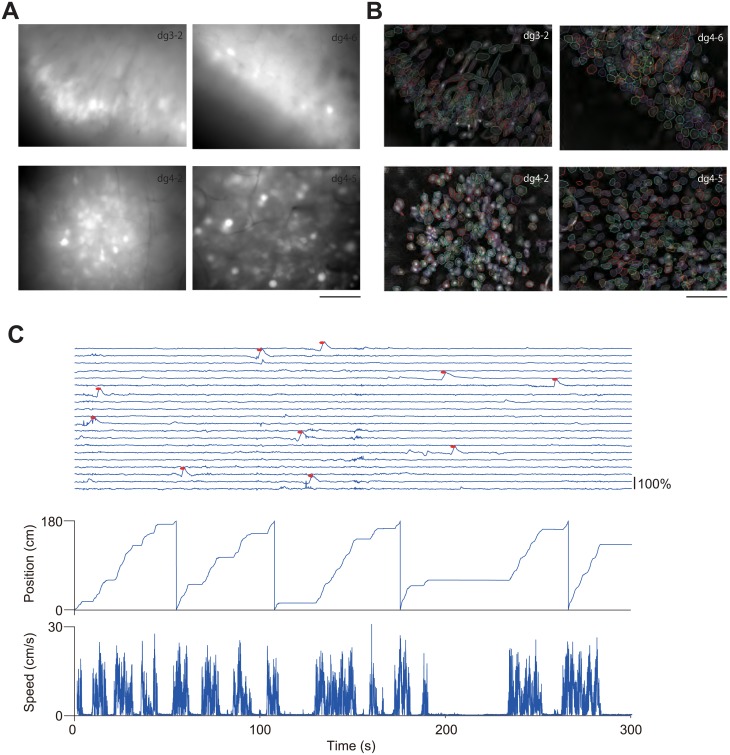 Fig 3