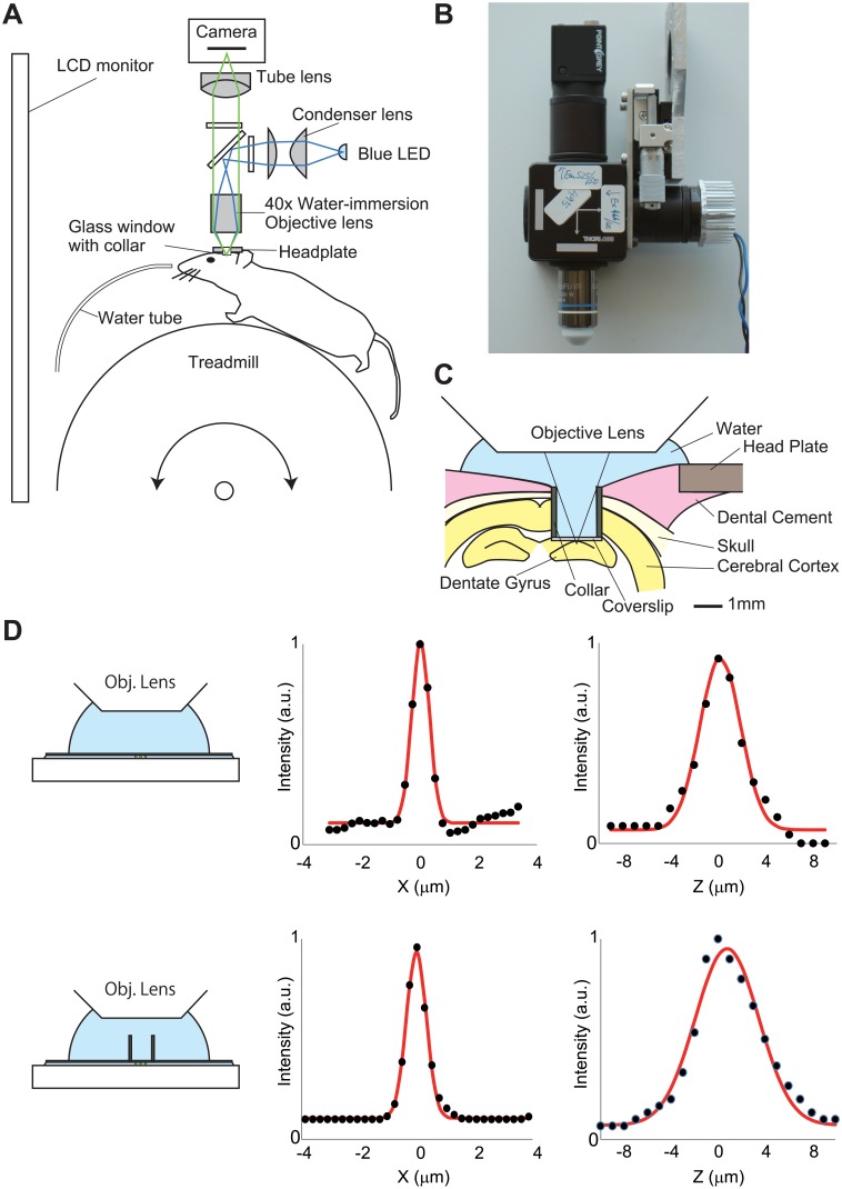 Fig 1