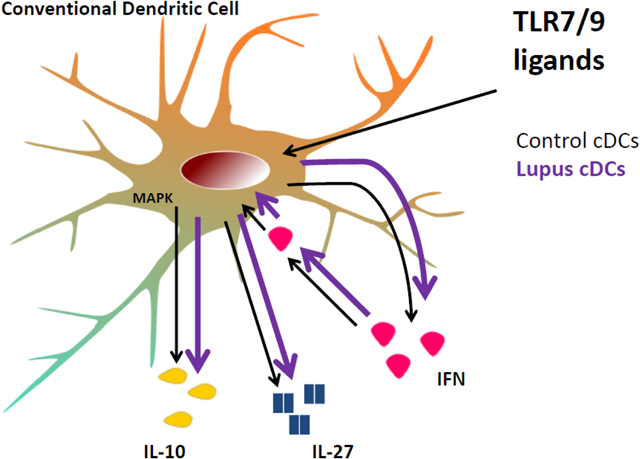 graphic file with name nihms-1669085-f0001.jpg